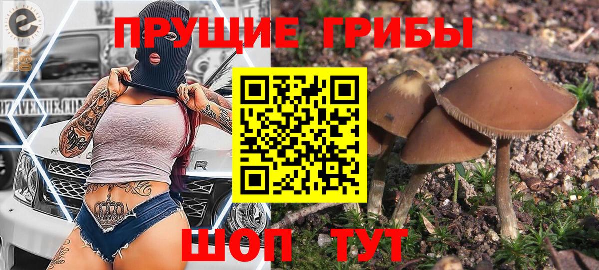 Псилоцибиновые грибы мицелий  Вход с VPN  Элиста  Псилоцибиновые грибы прущие грибы 