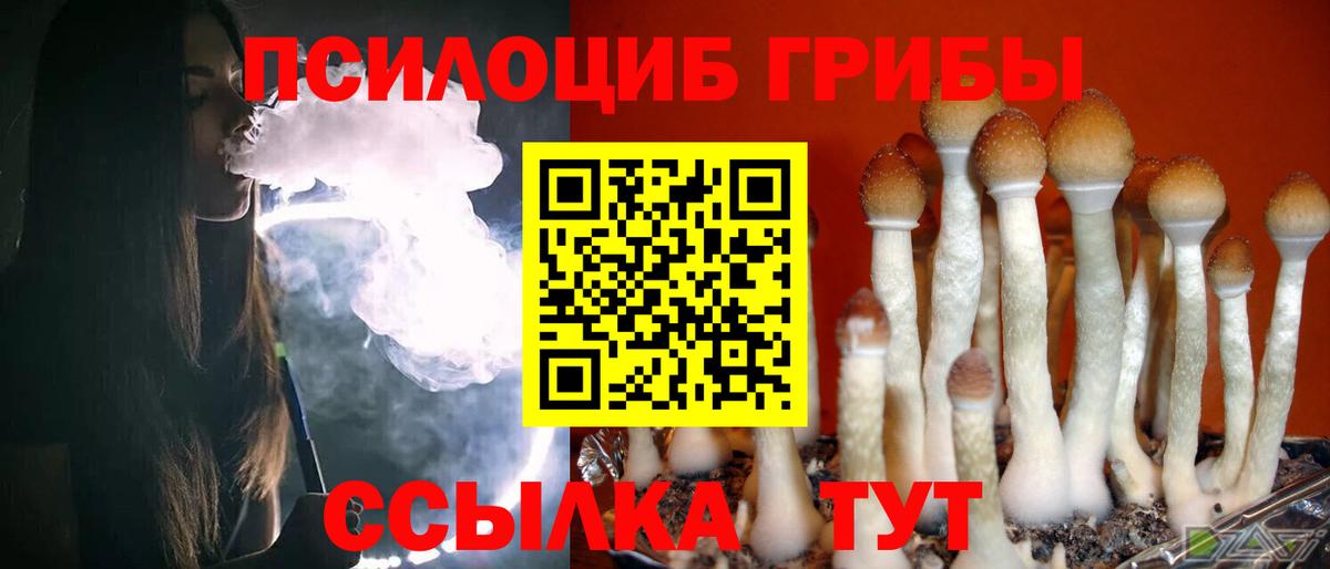 Меф мяу мяу Элиста