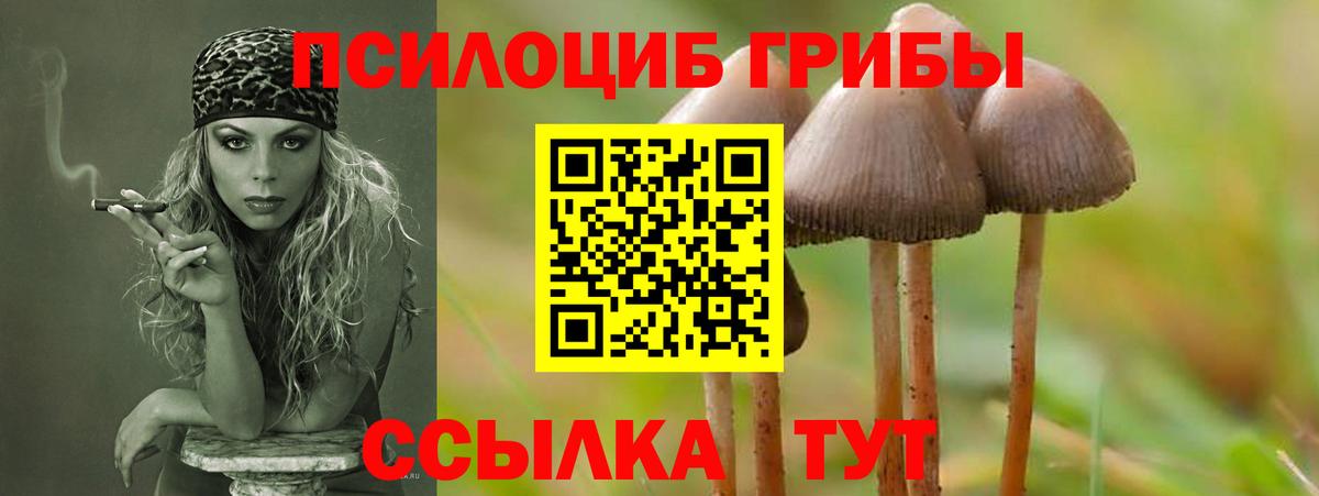 Галлюциногенные грибы прущие грибы Элиста