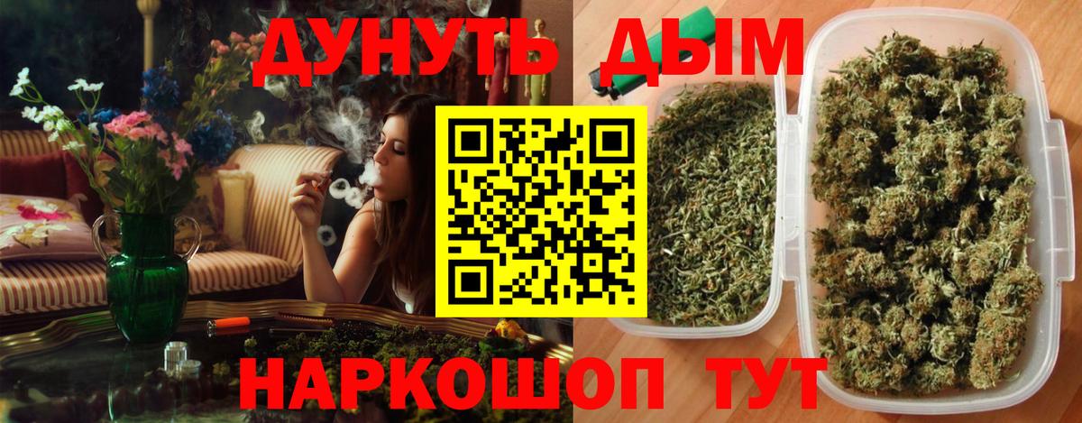 Элиста  Марихуана Bruce Banner  МАРИХУАНА индика  Бошки марихуана тримм  Вход с VPN  Конопля семена 